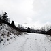 La strada è solo sporca di neve