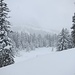 Blick Richtung Gross Schijen. Eine wunderschöne Winterlandschaft.