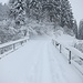 Die Isentobelbrücke.