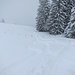 Es schneit was das Zeug hält.