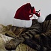 Weihnachtskater Borsti  / Borsti, il gatto natalizio 
