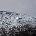Jede einzelne Schneeflocke ist wunderschön / ogni singolo fiocco di neve è bellissimo