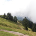 Vom Alpstein ist heute wenig zu sehen