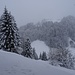 der Ausblick heute zwar marginal - doch "schön monochrom"