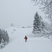 spuren im halbmetertiefen Schnee zur Oberbalmegg
