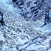 Il ripido canale iinnevato... 