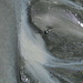 Strömungszeichnung im Gletscherwasser