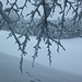 Winter im Tössbergland