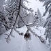 winterliche Napf-Wanderung 2 - mit formschönen Details