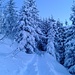 Kurz vor der Alpe