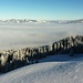 Winterwunderwald vor Nebelmeer, hinten Höchhand-Atzmännig