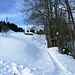 Schöner Schneeschuh-Trail nun links des Bächleins