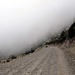 Der Rueckweg zum Auto zieht sich wegen der vielen Serpentinen ueber mehrere km. Jetzt auch im Nebel.