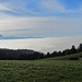 Nebelmeer über dem Bodensee