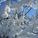 So soll Winter sein.