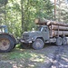 russische Holzwirtschaft in Arbeit