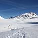 <b>Veduta dall'Alpe Carorescio sul Pizzo dell'Uomo.</b>