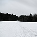 sieht nach einer guten Schneedecke für eine Schneeschuhtour aus. Ist es aber nicht. Der Schein trügt.