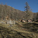 alpe Fiorina