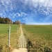 Der Wanderweg von Büel hinauf Richtung Etzel-Kulm.