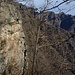 Scendendo verso l'Alpe Curtun, poco sopra il bivio con il sentiero "alto" per il Vallone dei Mulini