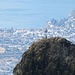 Zoom sul Sassariente