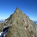 Die Hoffmannspitze - der letzte Gipfel der Glocknerwandüberschreitung in Richtung NW-Grat