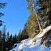 Bergweg zum Skihaus Pirigen. Für Skitourer ist wegen einiger "Grünbrücken" momentan eher der schneebedeckte Alpweg zu empfehlen