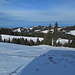 Schönes Gelände zum Schneeschuhlaufen: die Gegend der Sattelegg