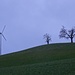 die neue Windkraftanlage - im Kontrast zu alten Obstbäumen - auf Alewindli