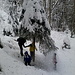 Wir befreien Bäume von Schnee, vorzugsweise wenn jemand drunter steht.