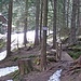 26.04.2009: Der Name "Schneidertal-Brücke" lässt etwas mehr erwarten, als dieser mickrige Holzsteg im Wald.
