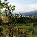 Pokhara liegt direkt am Lake Phewa