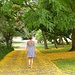 im botanischen Garten