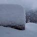 accumuli...