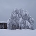 presso l'alpe Buglio 