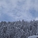 il cielo pare addirittura aprirsi.....