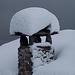 cappello...