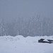 intanto riprende una copiosa nevicata