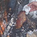 speck abrustolito.....