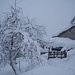 quando ce ne andiamo nevica abbondantemente