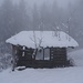... mit der verfallenden Hütte Bruederwald mit Bewuchs