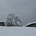 Finalmente una cartolina invernale