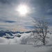 ... und vor der "Nebelküche" und den Zentralschweizer Gipfeln