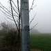 Dichter Nebel über der Landschaft