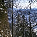 Abwechslungsreiches Tössbergland mit Wald und Nagelfluh
