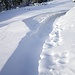 Eine Schneeschuh-Autobahn, teils vom Winde verweht, führt hinunter zur Schwämmi