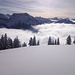 Unten Nebel, oben beste Sicht, z.B. ins Glarus bis zum Tödi.