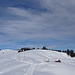 sonnig-winterlicher Blick zurück zur Alp und Anhöhe Spilmettlen