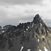 Fluchthorn/Piz Fenga (3398 m) - was für ein Berg!